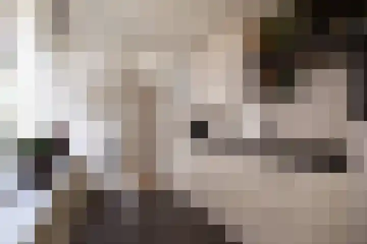 Lijnbaan 9 Leek foto 3