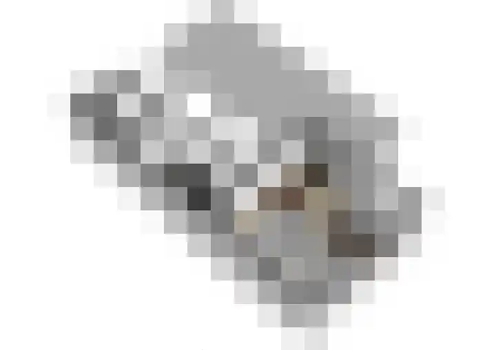 Lijnbaan 9 Leek thumbnail 33