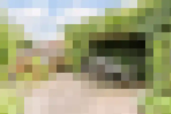 Lijnbaan 9 Leek thumbnail 36