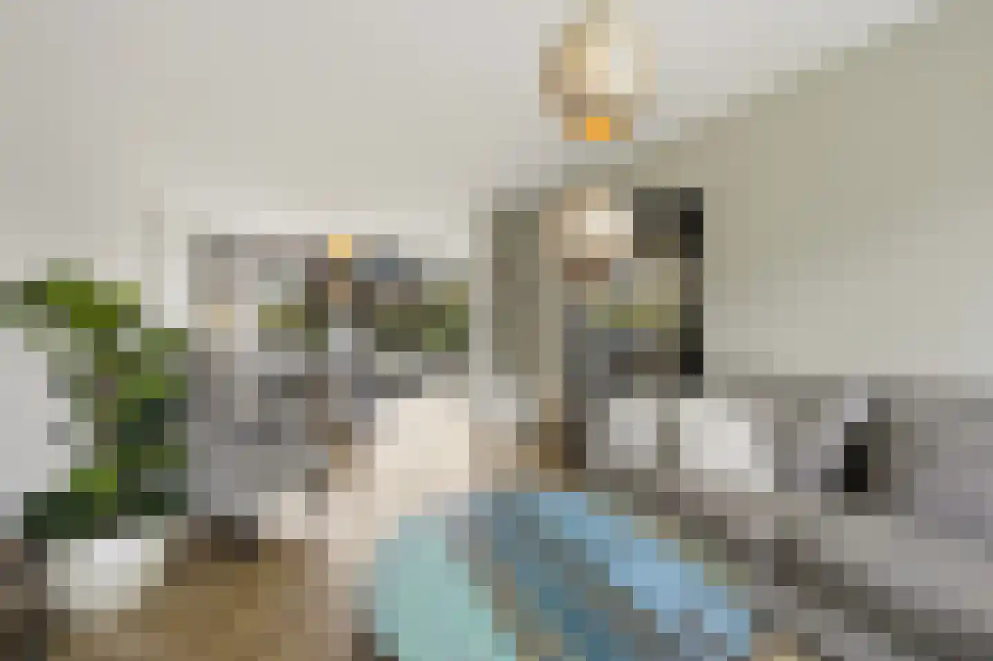 Lijnbaan 9 Leek thumbnail 5