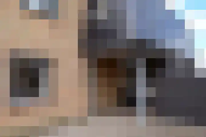 Lijnbaan 9 Leek thumbnail 6