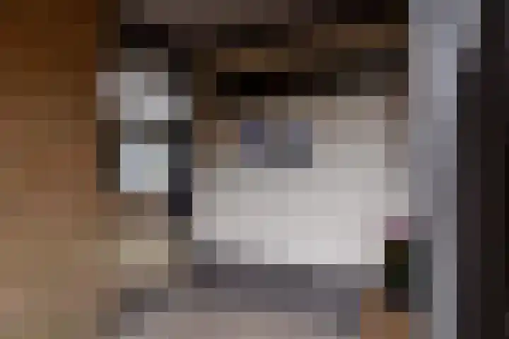 Lijnbaan 9 Leek thumbnail 7