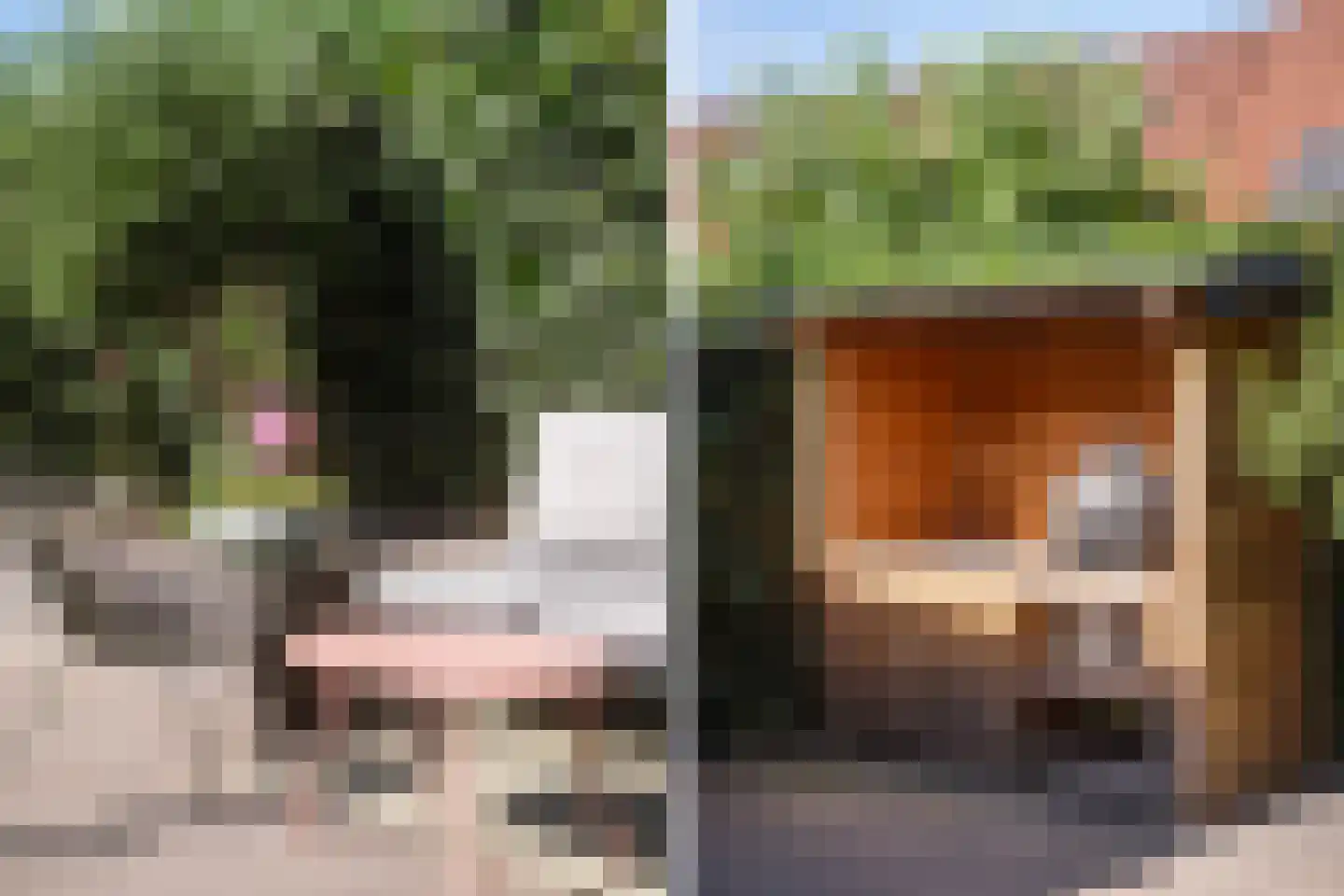 Lijnbaan 93 F Zwolle thumbnail 14