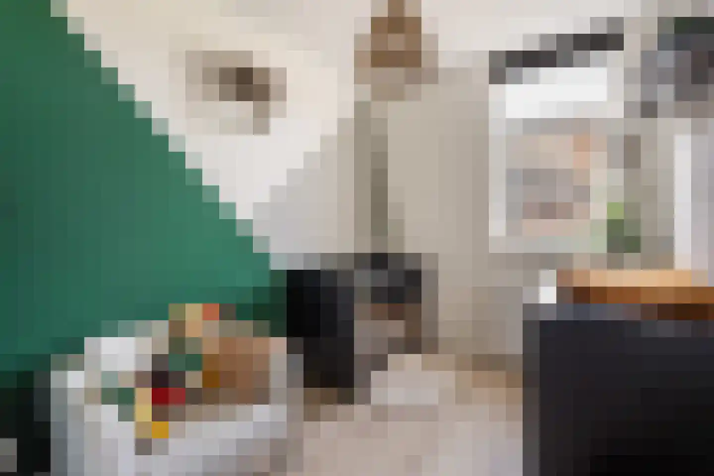 Lijnbaan 93 F Zwolle thumbnail 22