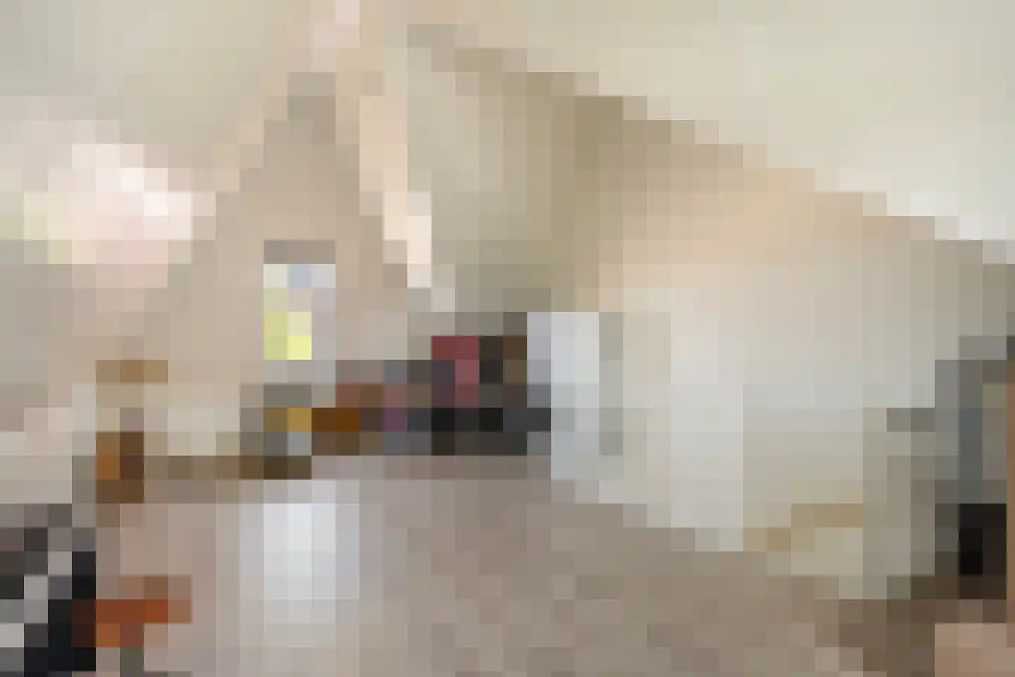 Lijnbaan 93 F Zwolle thumbnail 29