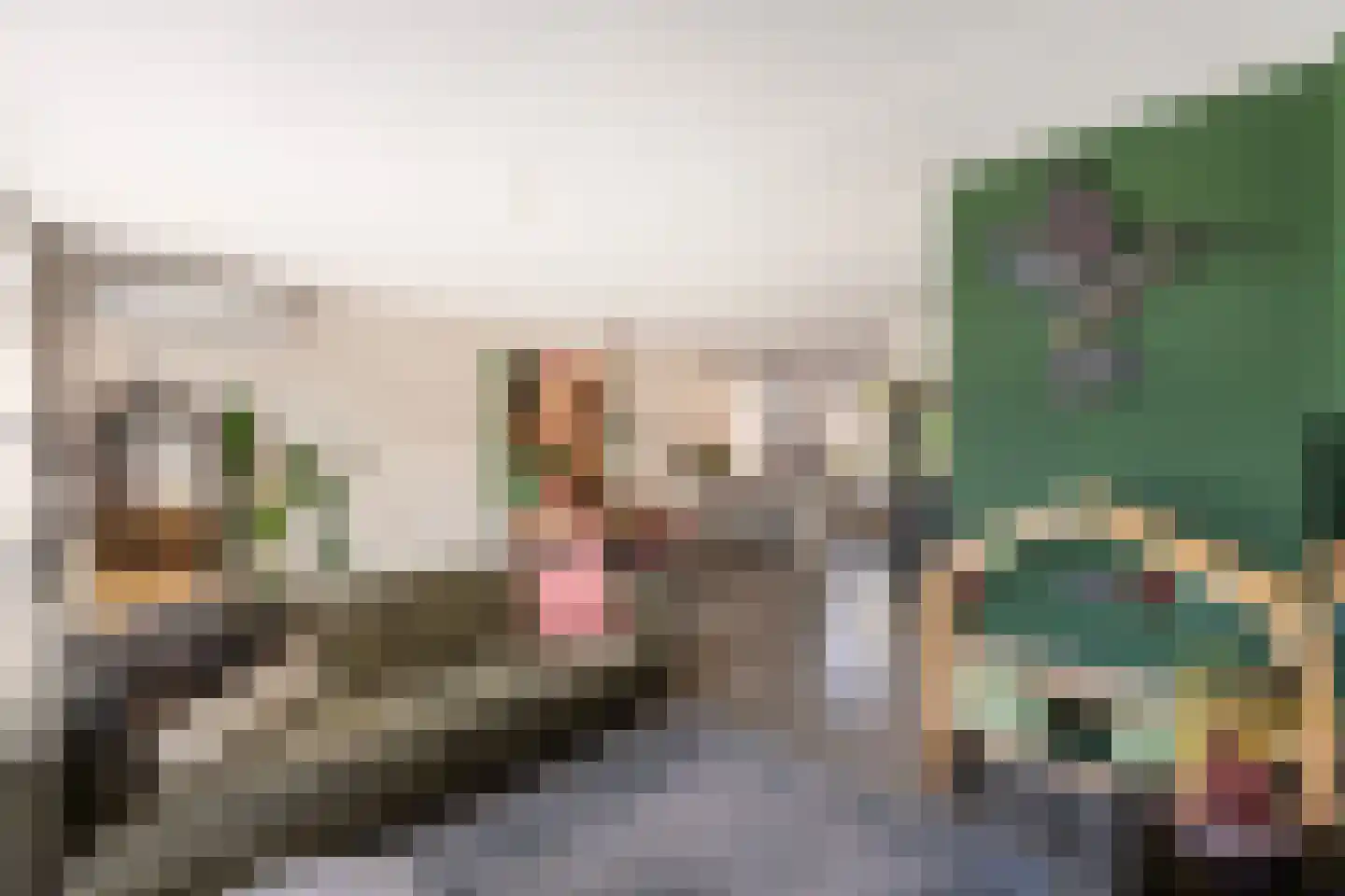 Lijnbaan 93 F Zwolle thumbnail 4