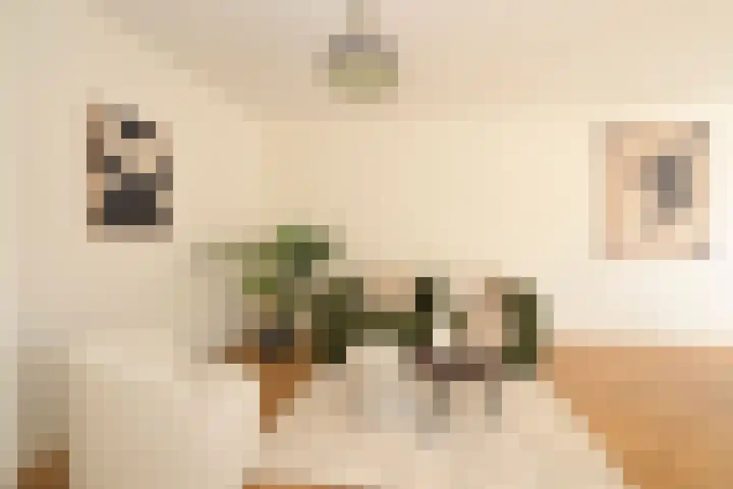 Lijnbaan 94 Den Haag thumbnail 7