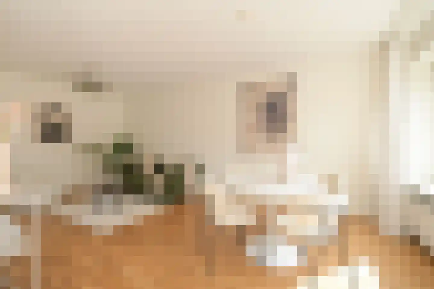 Lijnbaan 94 Den Haag thumbnail 9