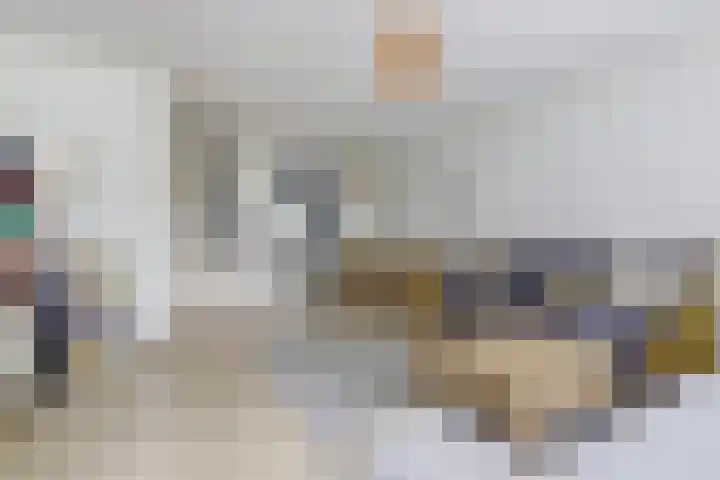 Lijnbaandwarsstraat 9 Dordrecht thumbnail 14