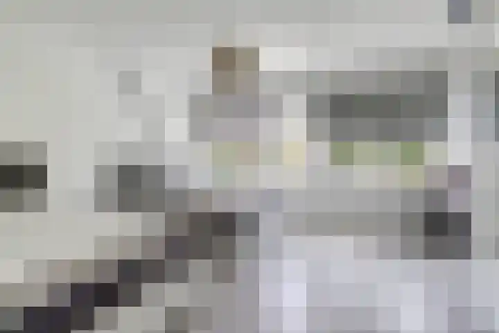 Lijnbaandwarsstraat 9 Dordrecht thumbnail 21