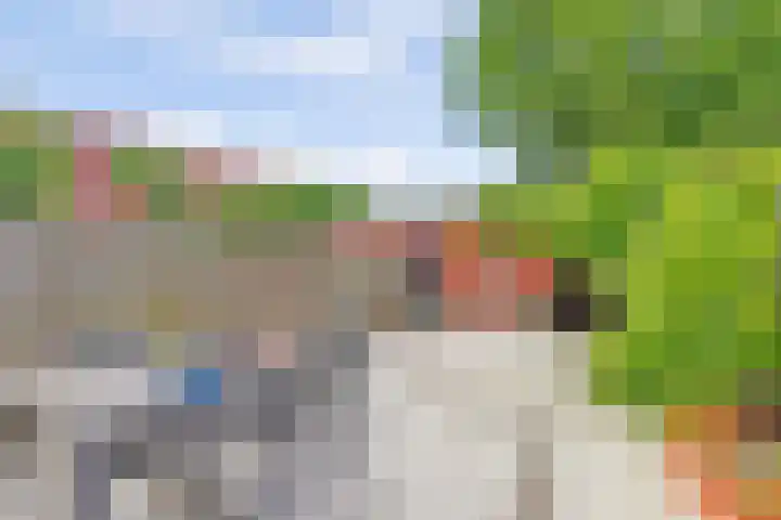 Lijnbaandwarsstraat 9 Dordrecht thumbnail 31