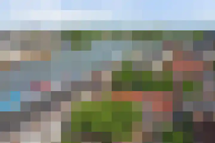 Lijnbaandwarsstraat 9 Dordrecht thumbnail 34