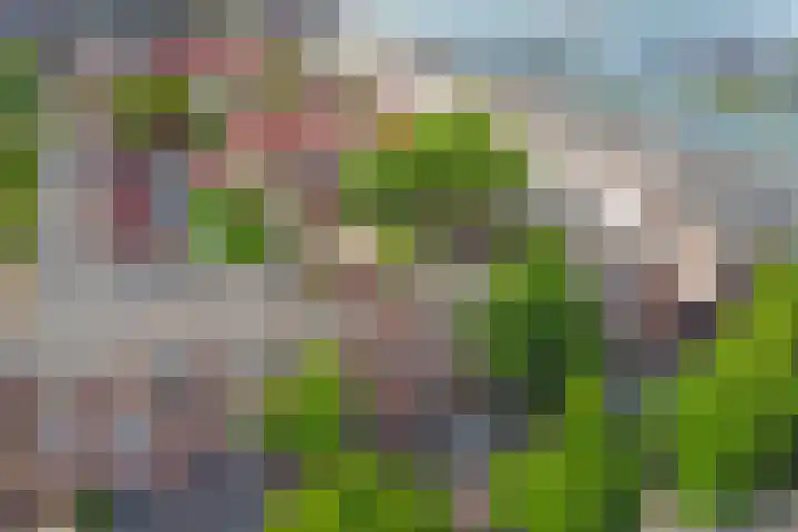 Lijnbaandwarsstraat 9 Dordrecht thumbnail 35