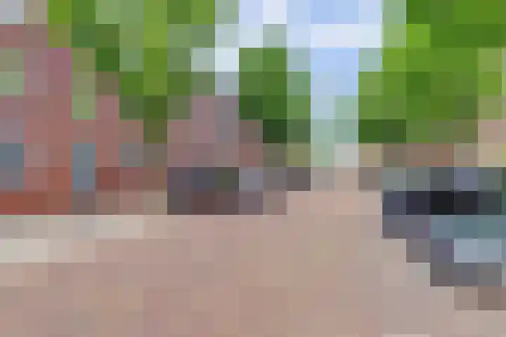 Lijnbaandwarsstraat 9 Dordrecht thumbnail 5
