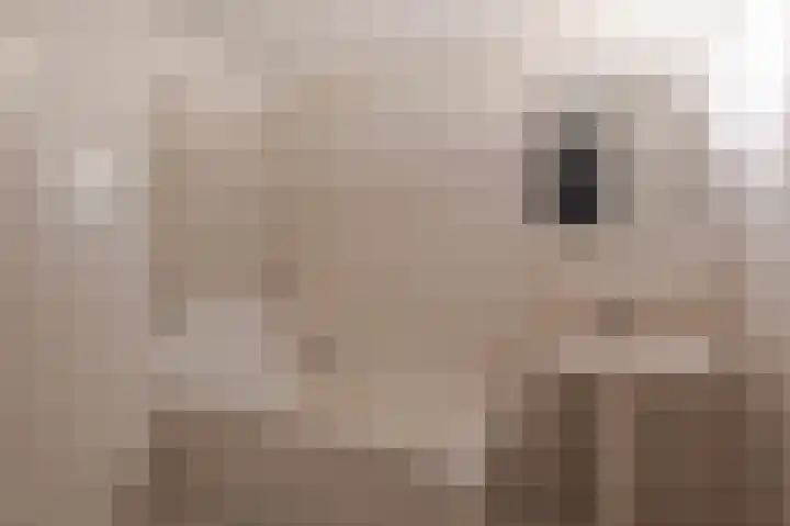 Lijnbaanplein 4 Giessenburg thumbnail 13
