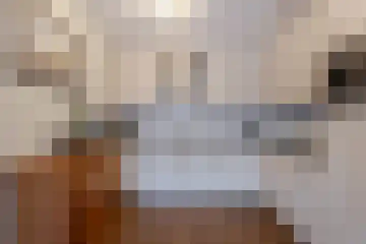 Lijnbaanplein 4 Giessenburg thumbnail 8
