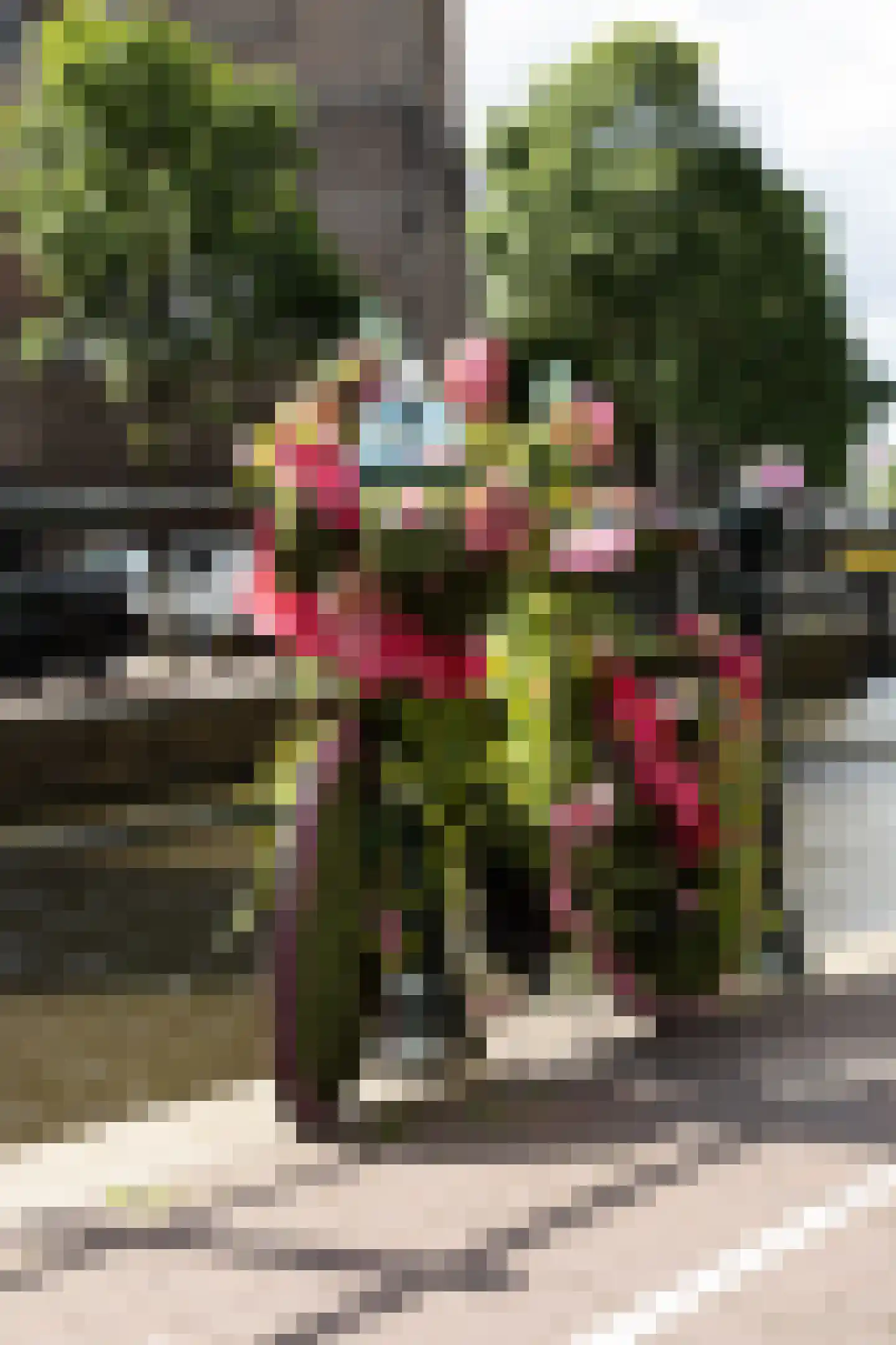 Lijnbaansgracht 100 2L Amsterdam thumbnail 22