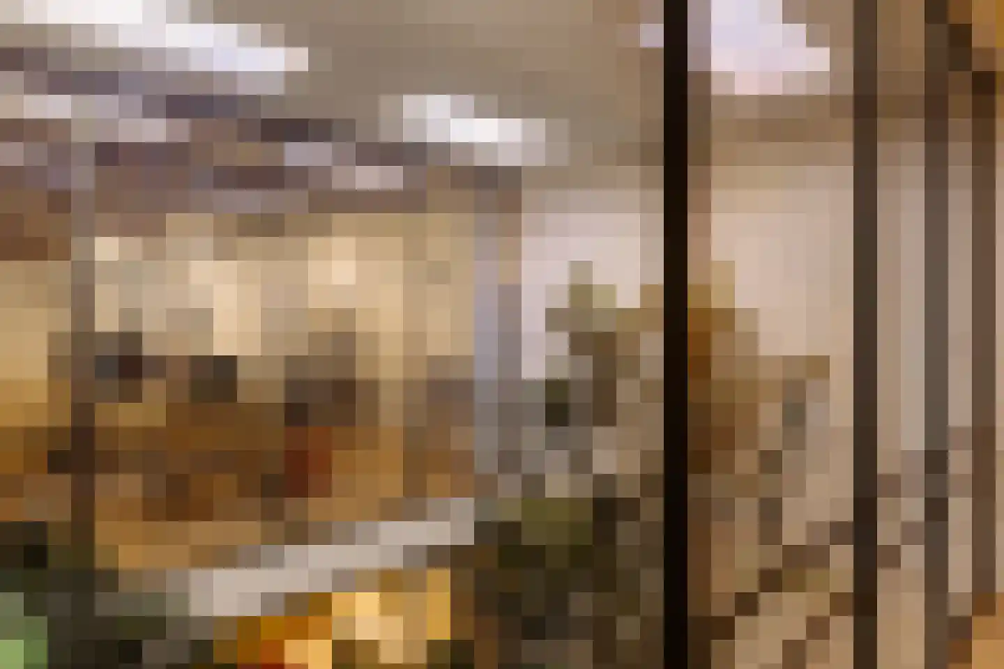 Lijnbaansgracht 119 H Amsterdam thumbnail 9