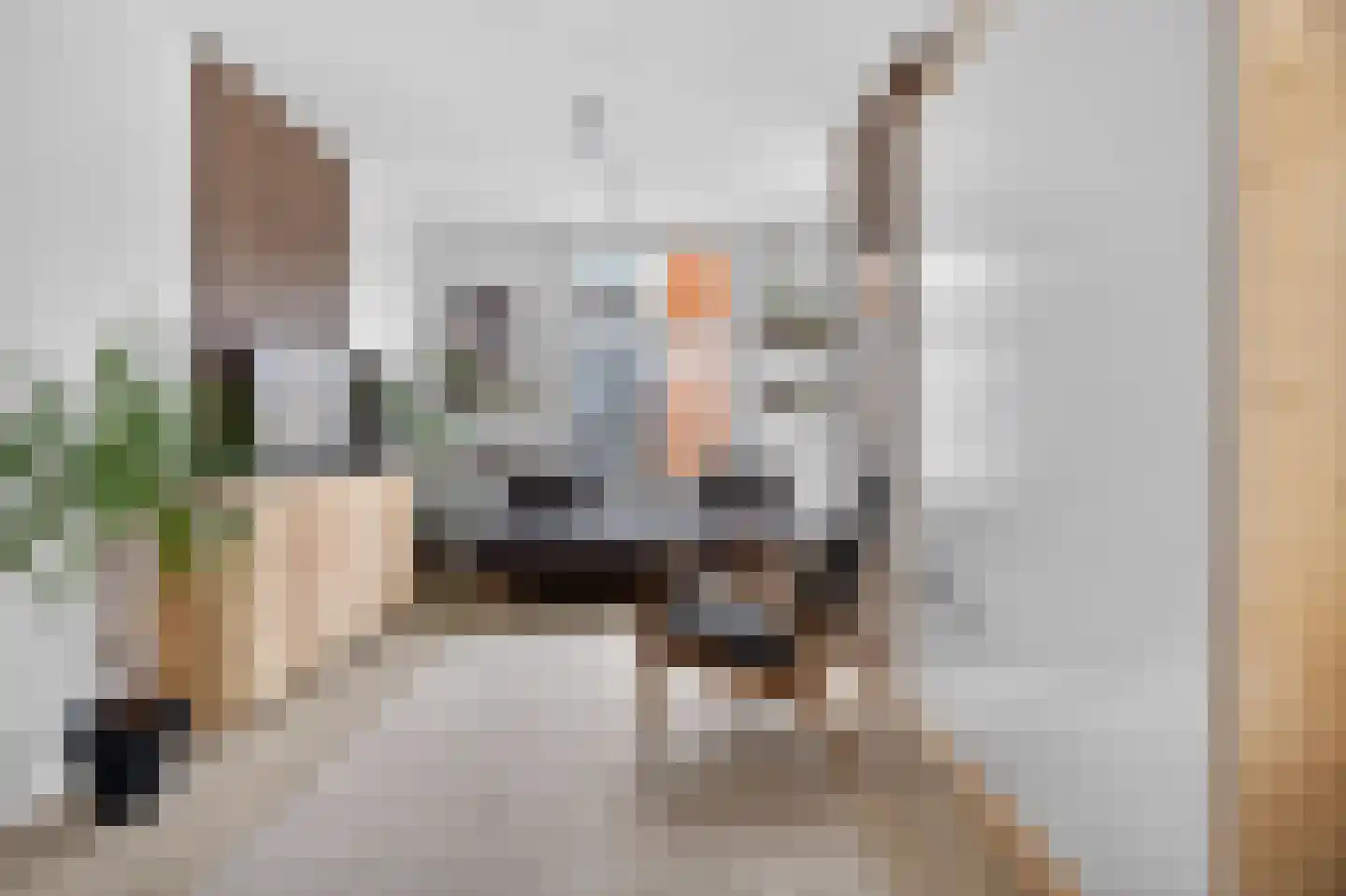 Lijnbaansgracht 14 1 Amsterdam thumbnail 4