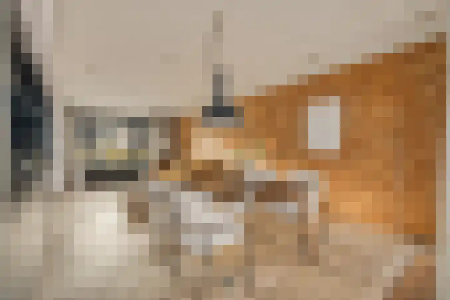 Lijnbaansgracht 153 3 Amsterdam thumbnail 13
