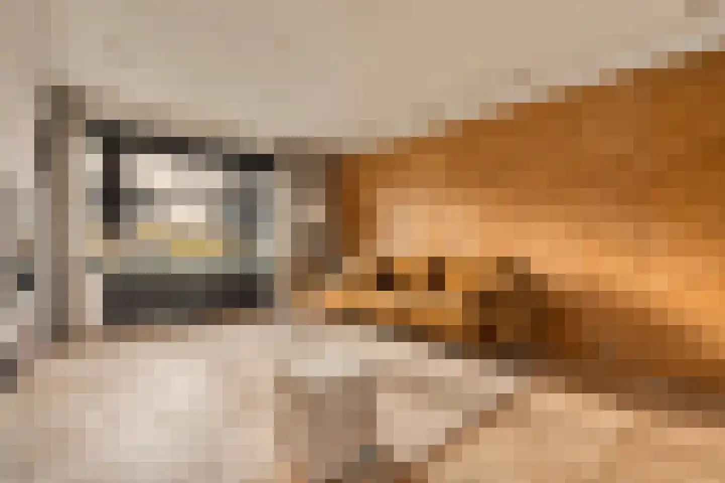 Lijnbaansgracht 153 3 Amsterdam thumbnail 15