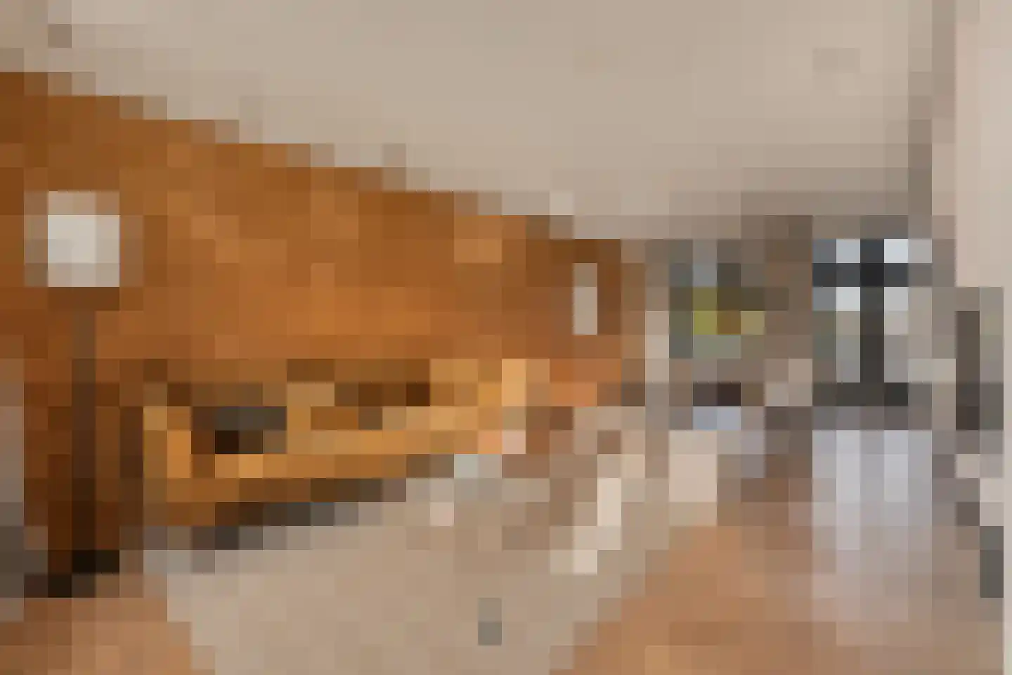 Lijnbaansgracht 153 3 Amsterdam thumbnail 16