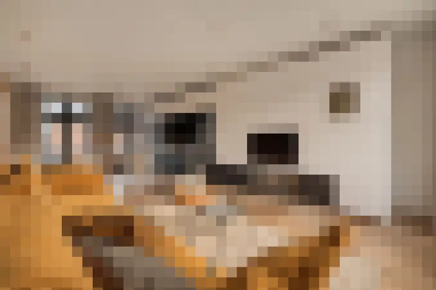 Lijnbaansgracht 153 3 Amsterdam thumbnail 17