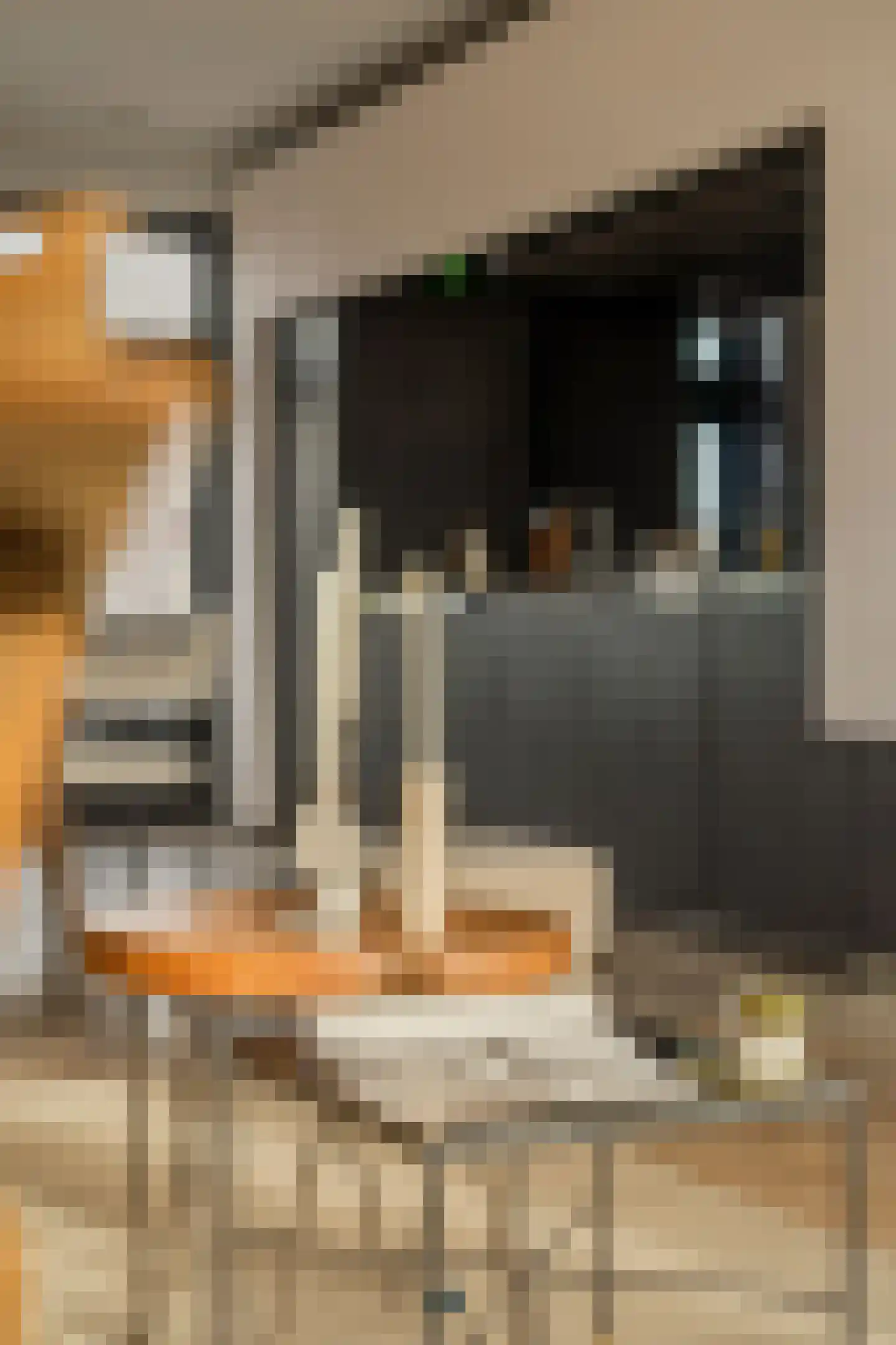 Lijnbaansgracht 153 3 Amsterdam thumbnail 18