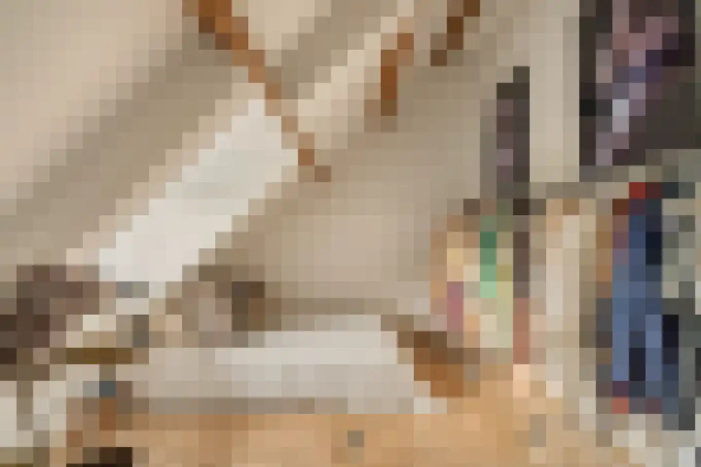 Lijnbaansgracht 153 3 Amsterdam thumbnail 20