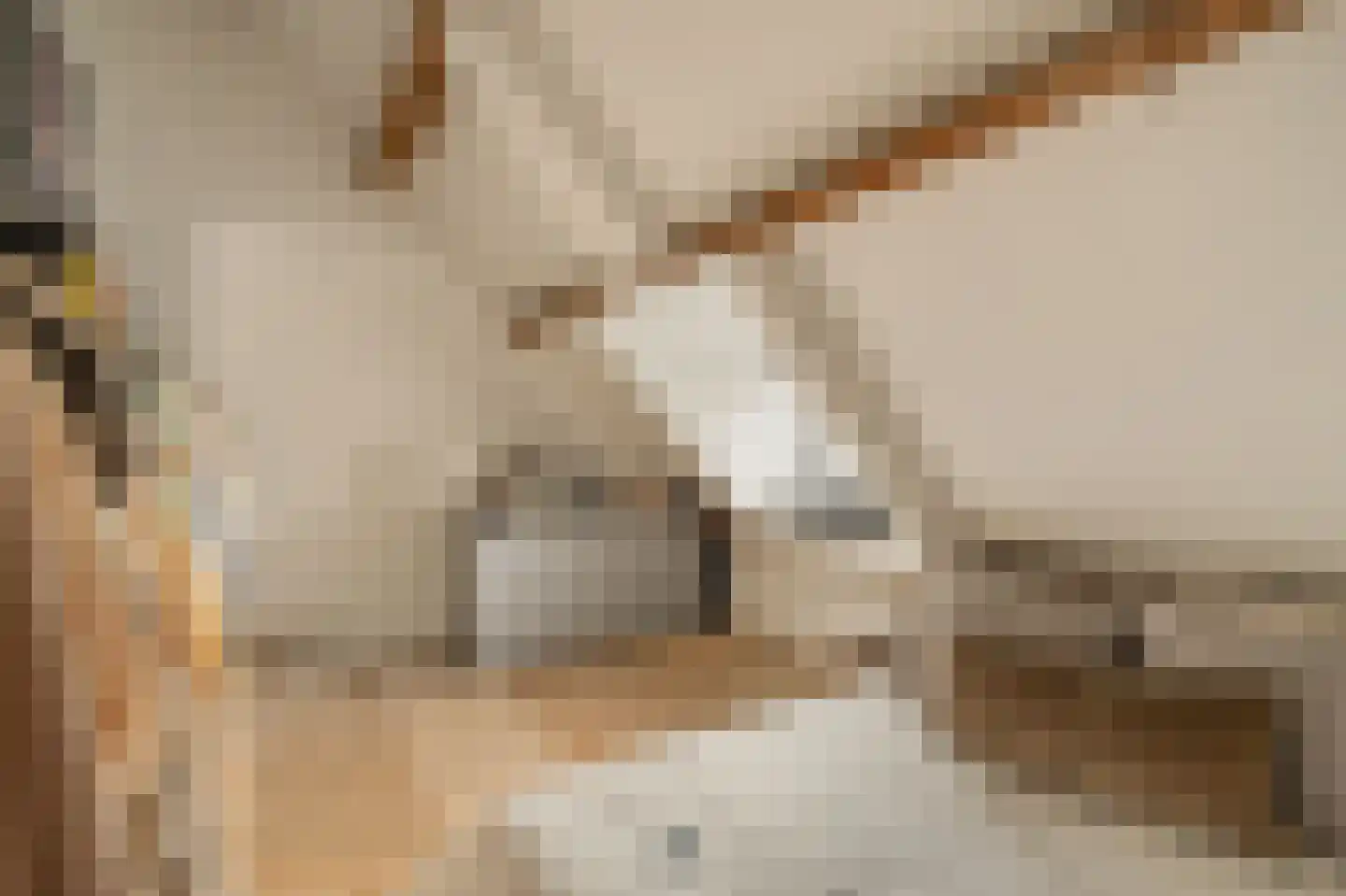 Lijnbaansgracht 153 3 Amsterdam thumbnail 21