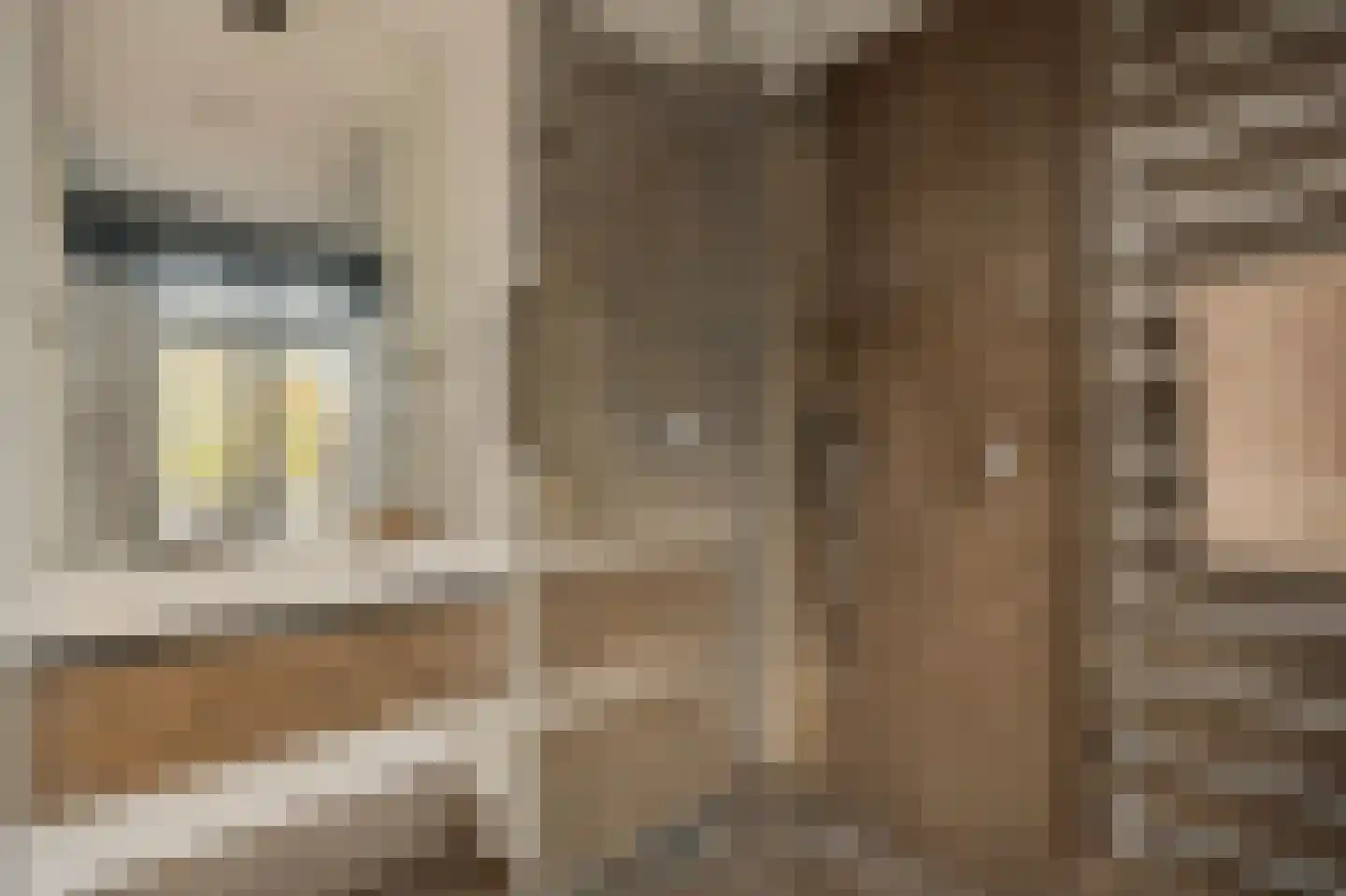 Lijnbaansgracht 153 3 Amsterdam thumbnail 26