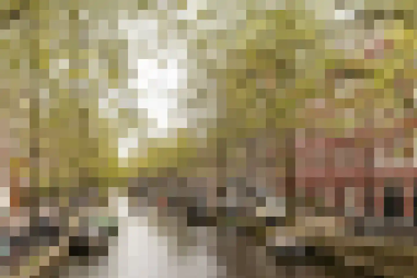 Lijnbaansgracht 153 3 Amsterdam thumbnail 27
