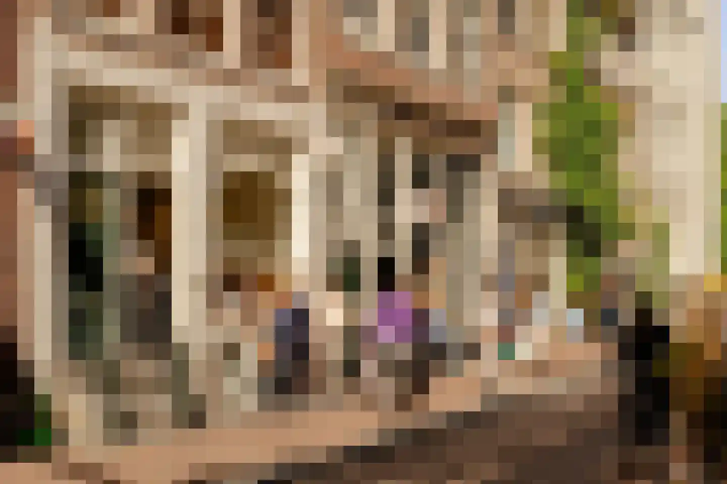 Lijnbaansgracht 153 3 Amsterdam thumbnail 30