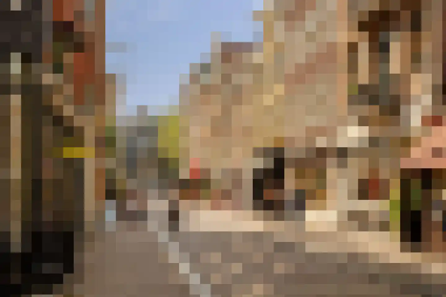 Lijnbaansgracht 153 3 Amsterdam thumbnail 31