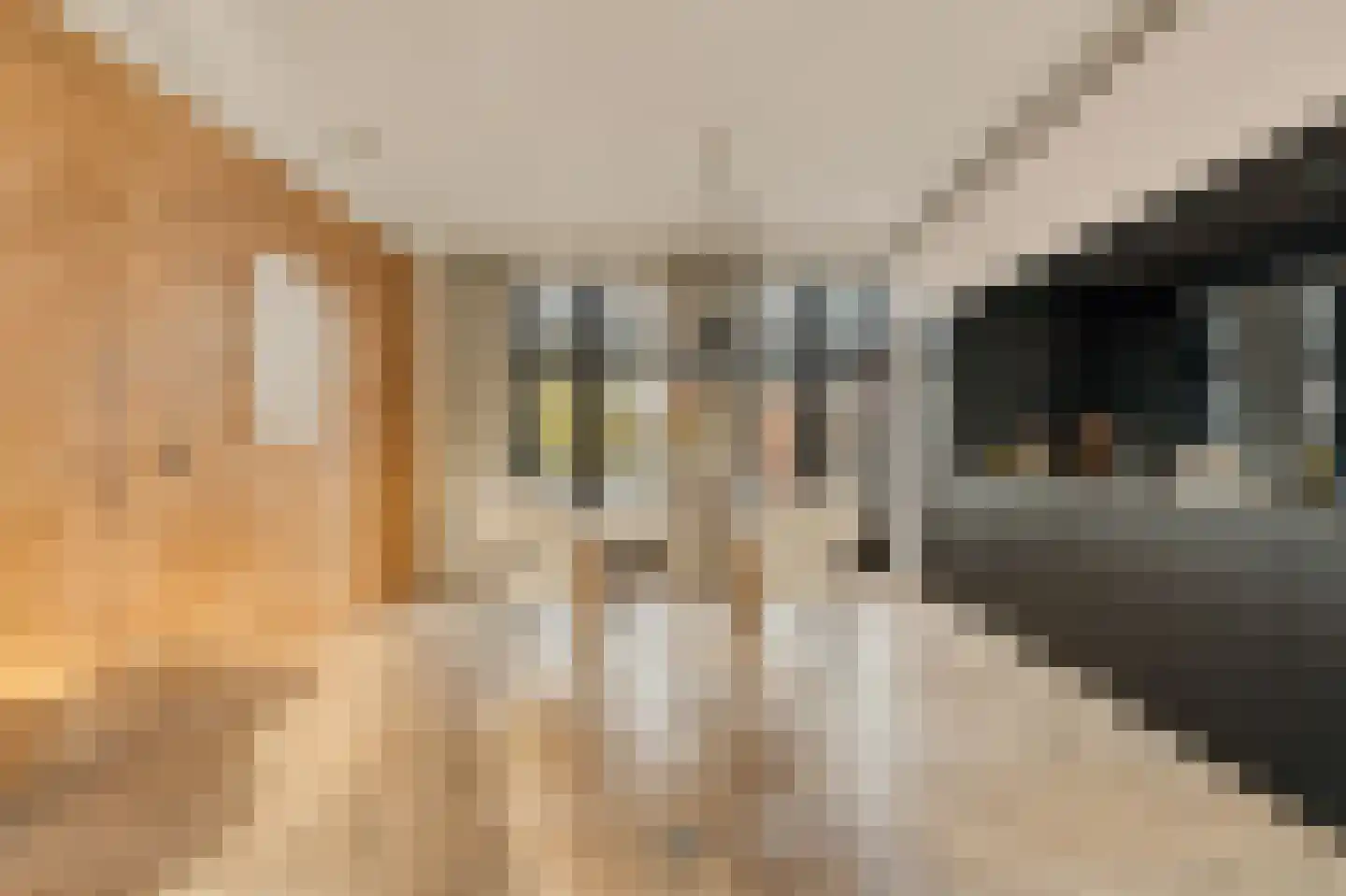 Lijnbaansgracht 153 3 Amsterdam thumbnail 6