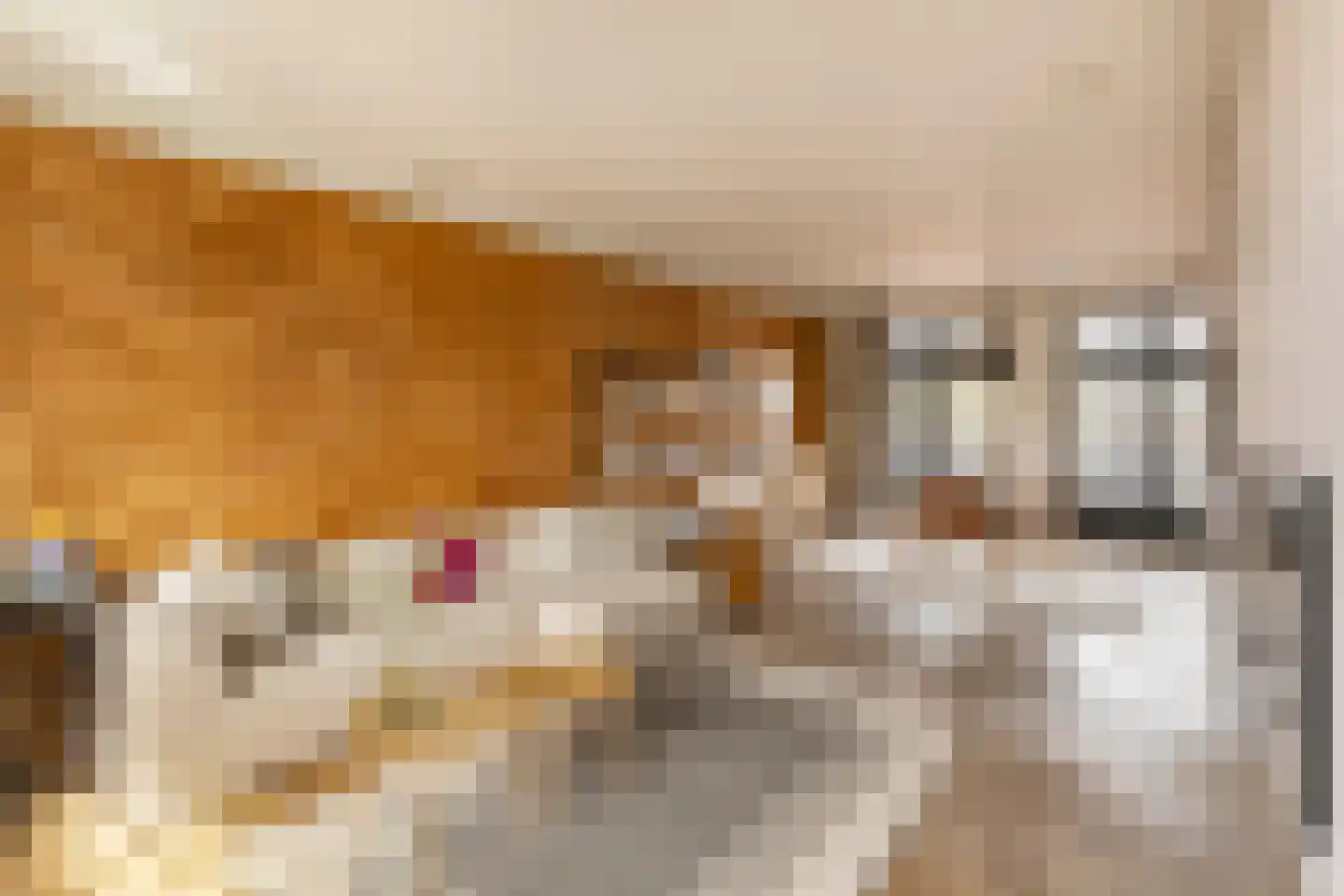 Lijnbaansgracht 153 H Amsterdam foto 2