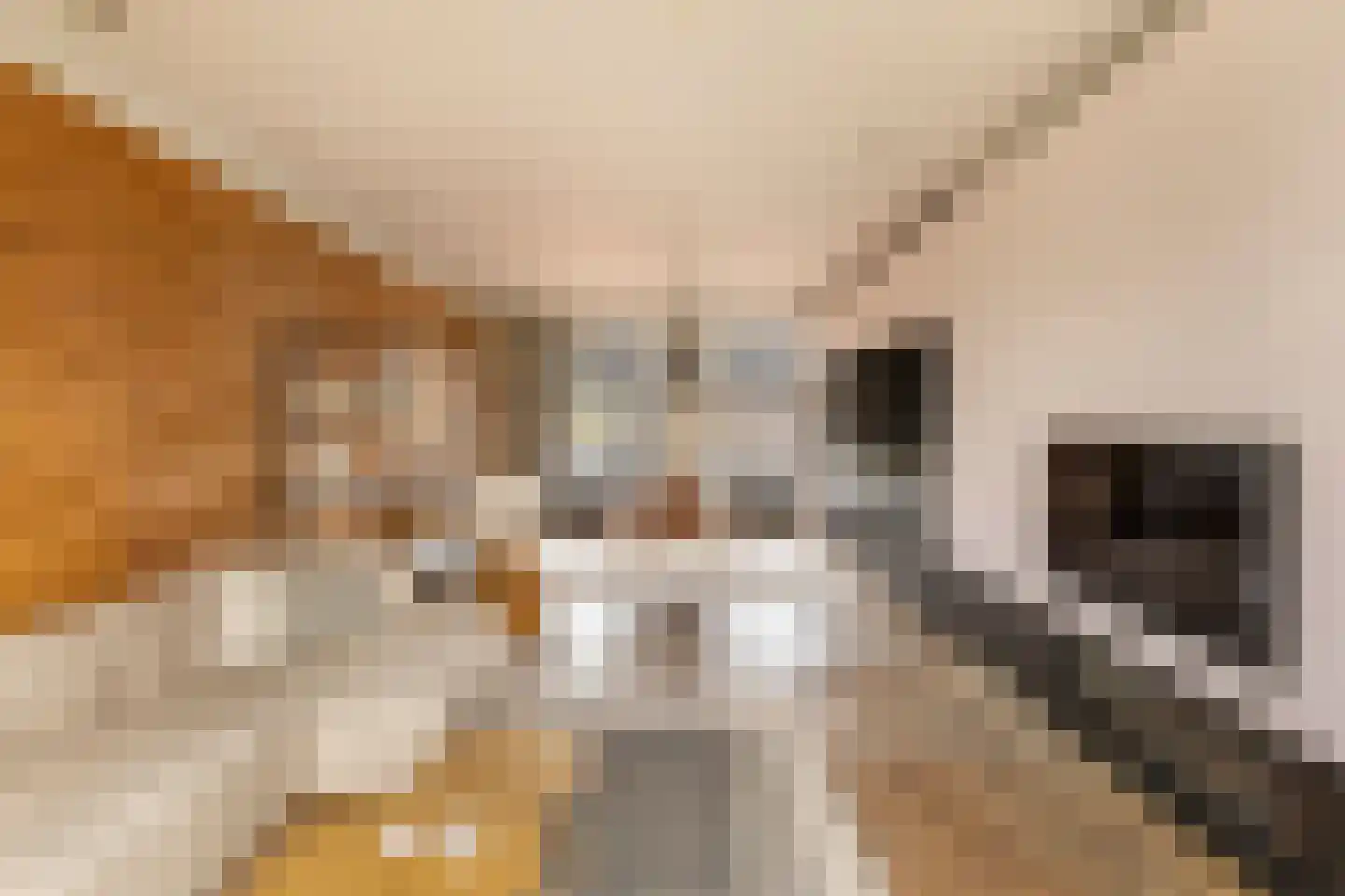 Lijnbaansgracht 153 H Amsterdam thumbnail 9