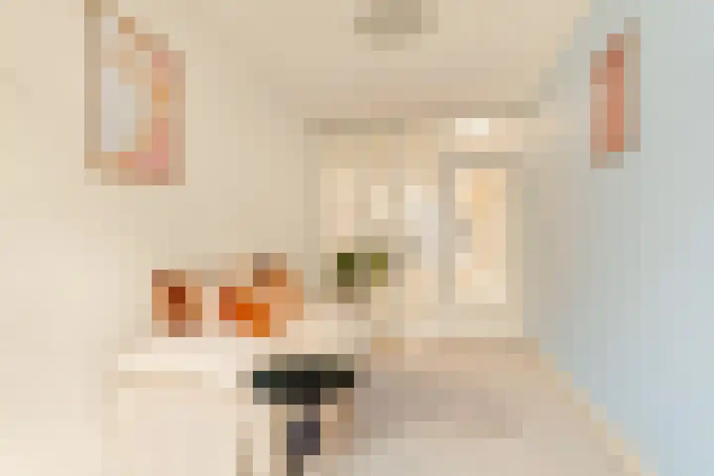 Lijnbaansgracht 163 3 Amsterdam thumbnail 30