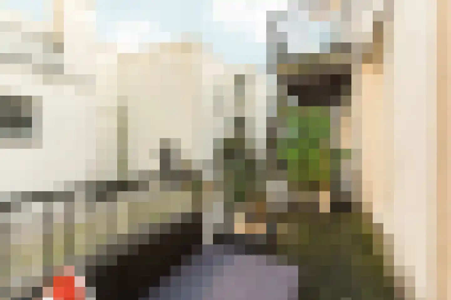 Lijnbaansgracht 163 3 Amsterdam thumbnail 32