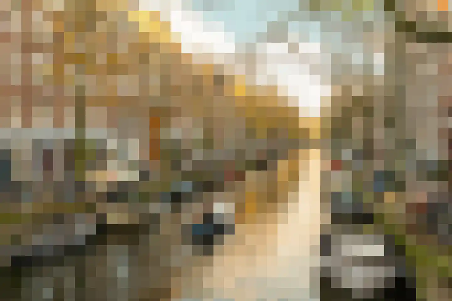 Lijnbaansgracht 163 3 Amsterdam thumbnail 38