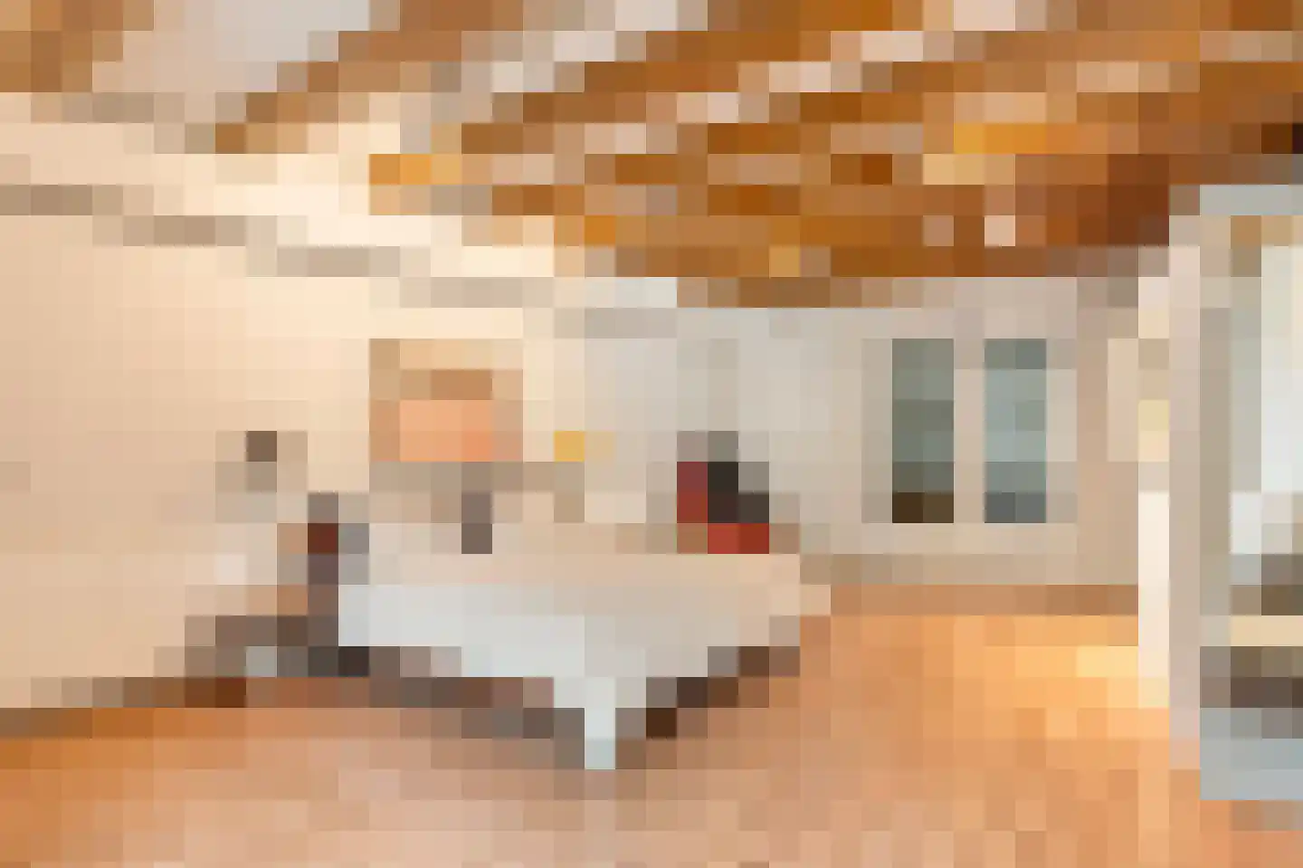 Lijnbaansgracht 165 H Amsterdam thumbnail 15