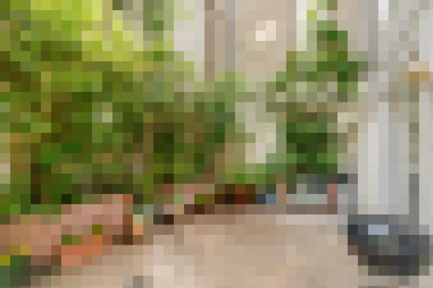 Lijnbaansgracht 165 H Amsterdam thumbnail 5