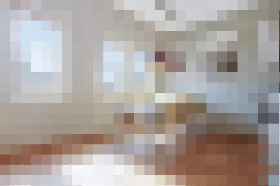 Lijnbaansgracht 195 Amsterdam thumbnail 5