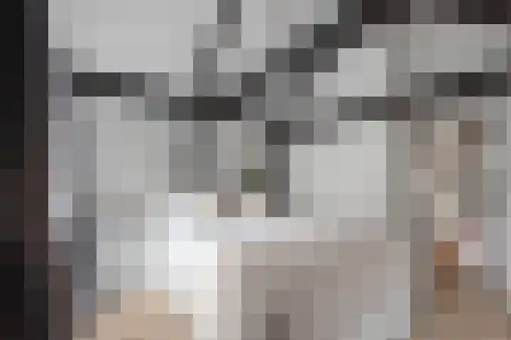 Lijnbaansgracht 204 1 Amsterdam thumbnail 15