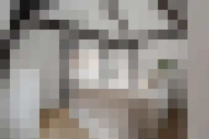 Lijnbaansgracht 204 1 Amsterdam thumbnail 16