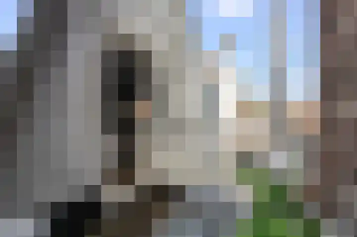 Lijnbaansgracht 204 1 Amsterdam thumbnail 19