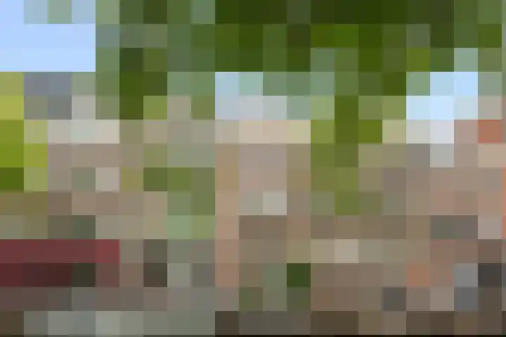 Lijnbaansgracht 204 1 Amsterdam thumbnail 27