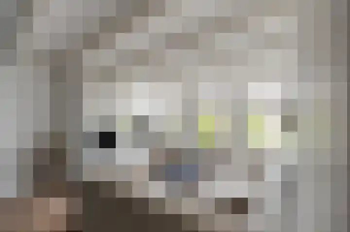 Lijnbaansgracht 204 1 Amsterdam thumbnail 6