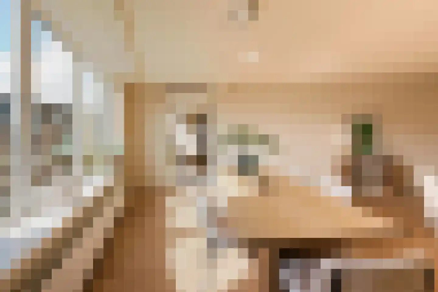 Lijnbaansgracht 210 C Amsterdam thumbnail 9