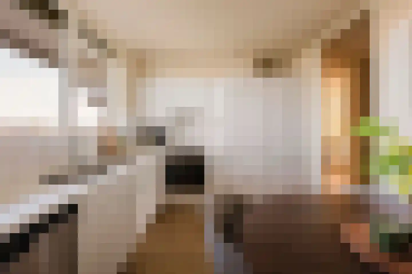 Lijnbaansgracht 210 D Amsterdam thumbnail 18